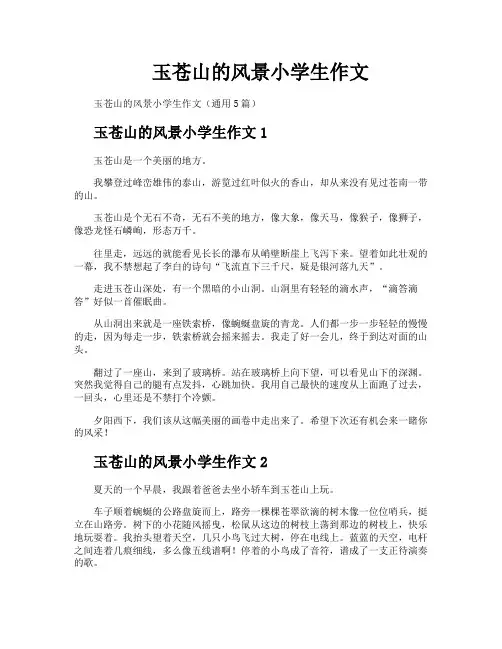 玉苍山的风景小学生作文