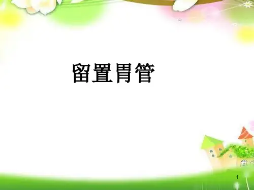 留置胃管PPT课件