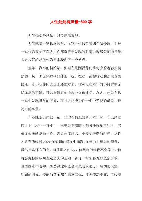 人生处处有风景-800字初二议论文作文