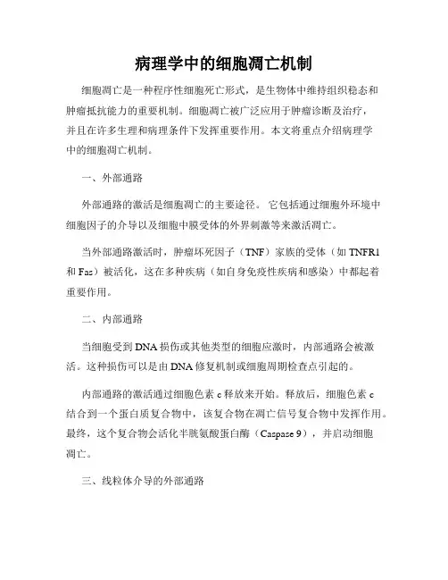 病理学中的细胞凋亡机制