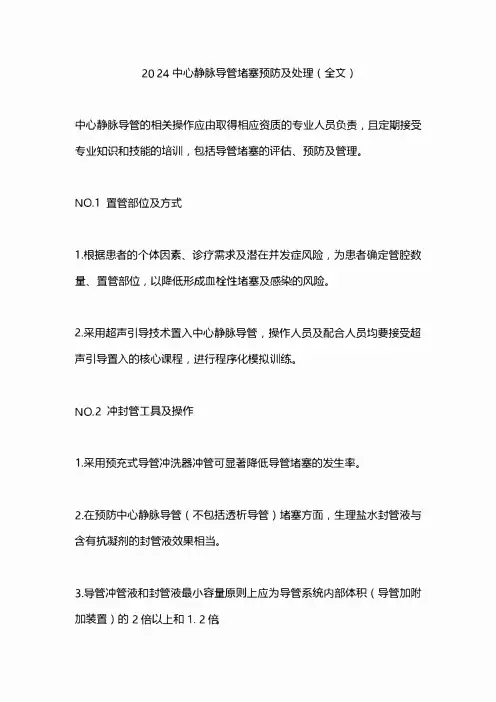 2024中心静脉导管堵塞预防及处理(全文)