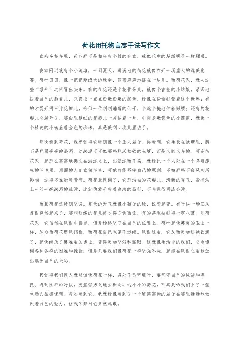 荷花用托物言志手法写作文