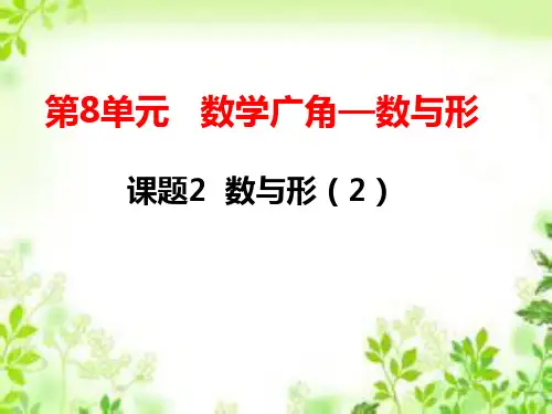 六年级上册数学课件-8.2数与形人教新课标共10张PPT