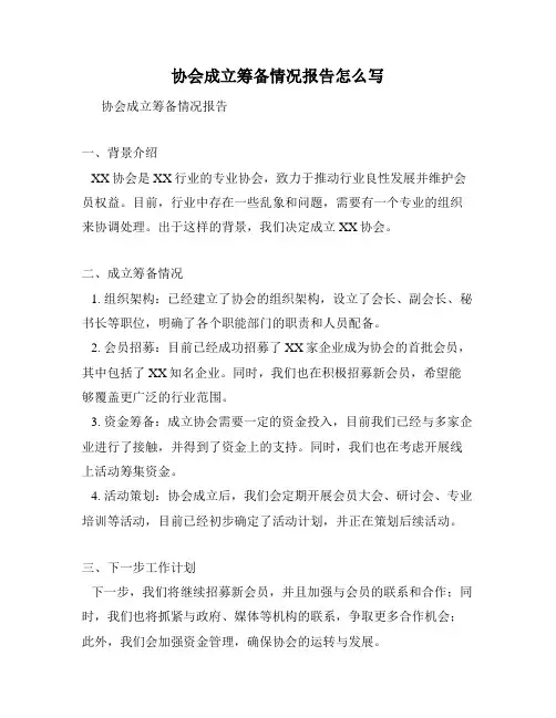 协会成立筹备情况报告怎么写