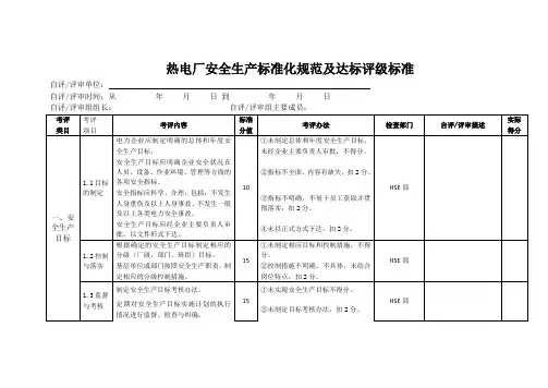 热电厂安全生产标准化规范及达标评级标准