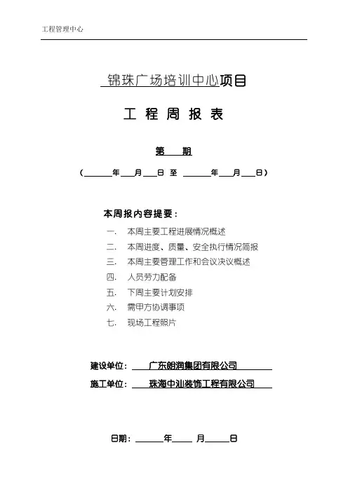 工程周报表模板