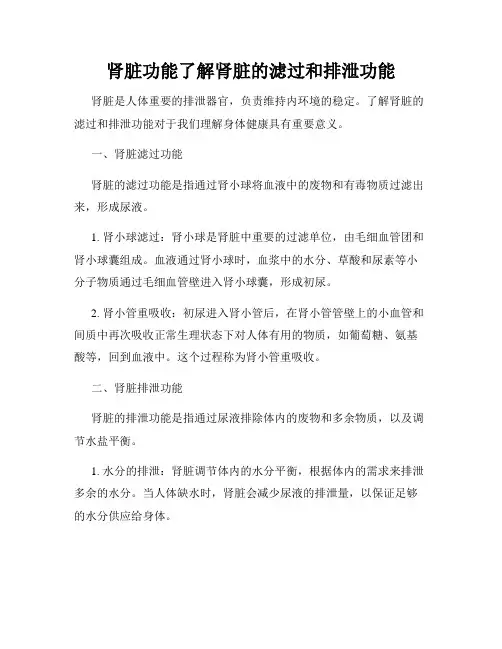 肾脏功能了解肾脏的滤过和排泄功能