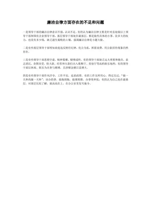 廉洁自律方面存在的不足和问题