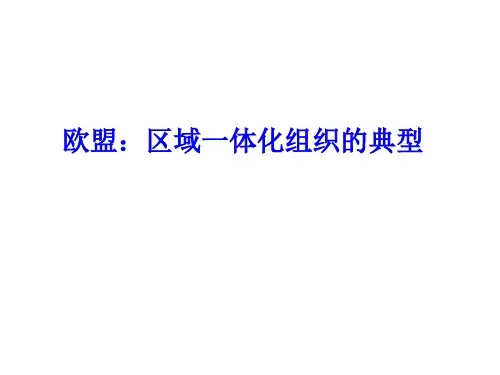 高中新课改 思想政治(选修三)：欧盟(EU)法规的宗旨和原则 教学课件