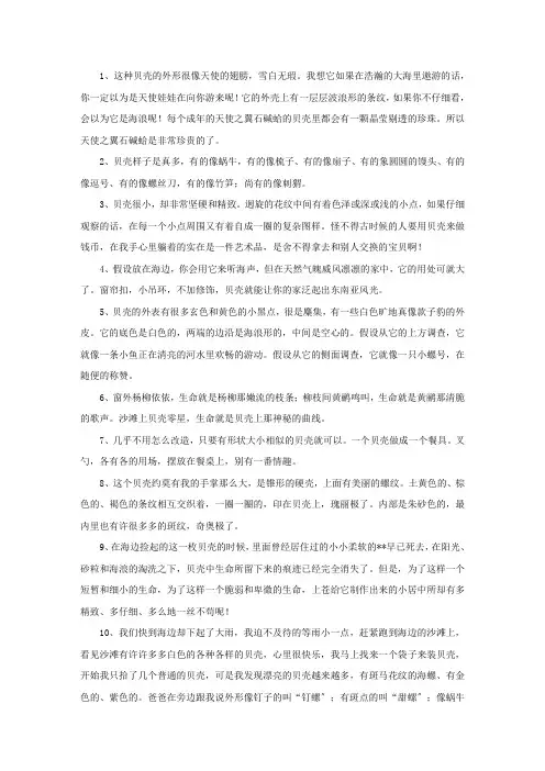 精选描述贝壳的句子