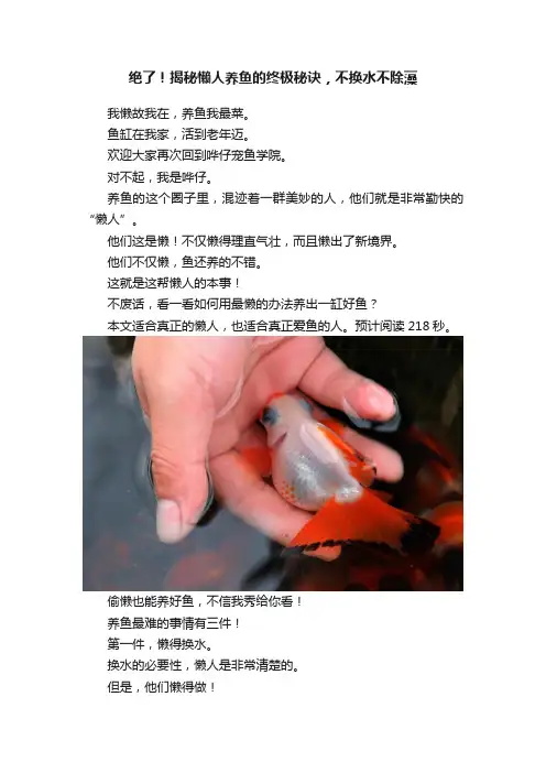 绝了！揭秘懒人养鱼的终极秘诀，不换水不除藻