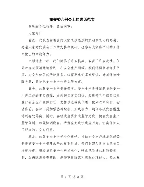 在安委会例会上的讲话范文