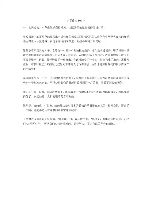 小草作文500字-3