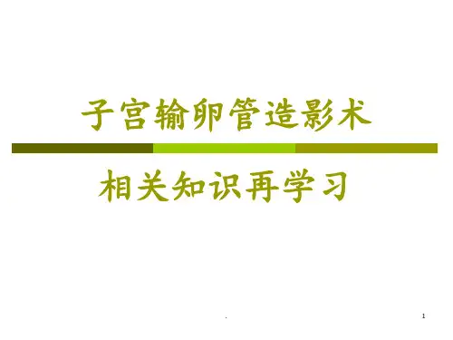 子宫输卵管造影术(2)