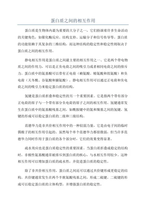 蛋白质之间的相互作用