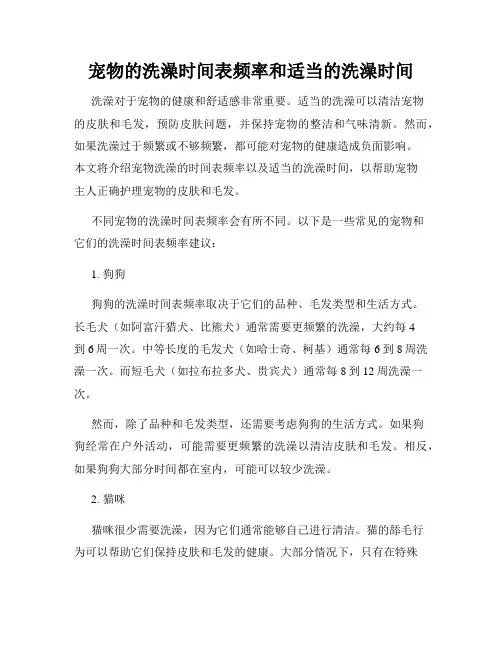 宠物的洗澡时间表频率和适当的洗澡时间
