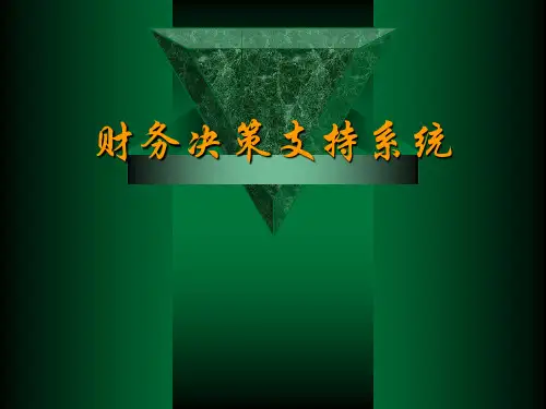 财务决策支持系统ppt课件完整版
