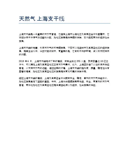 天然气 上海支干线