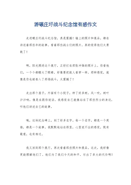 游碾庄圩战斗纪念馆有感作文