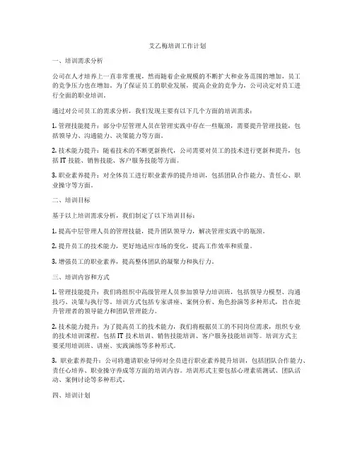 艾乙梅培训工作计划