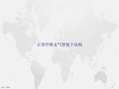 正常纤维支气管镜下结构讲课文档