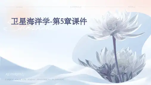 卫星海洋学-第5章课件
