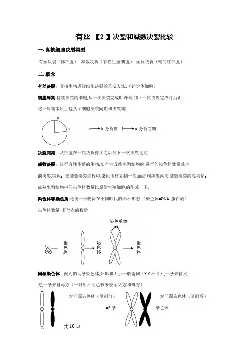 有丝分裂和减数分裂比较