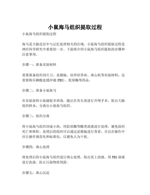 小鼠海马组织提取过程