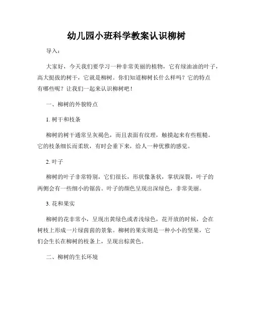 幼儿园小班科学教案认识柳树