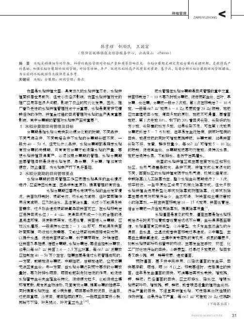 水稻分蘖期田间管理措施分析