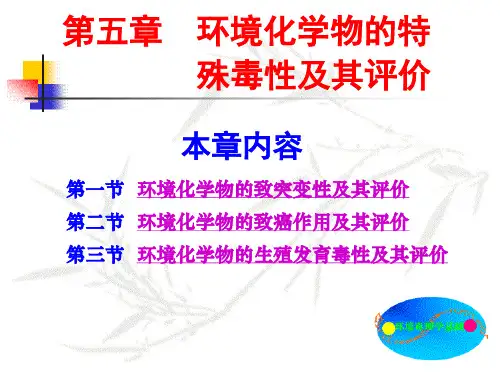 环境化学物的特殊毒性及其评价