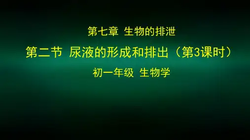 初一生物学(北京版)-第七章  生物的排泄-7.2尿液的形成和排出 第3课时-2PPT课件