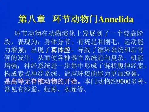 动物学 第八章 环节动物门