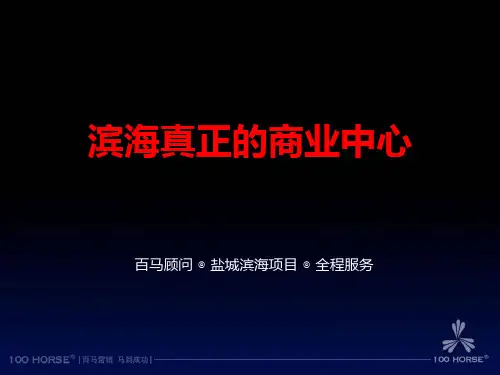 江苏盐城滨海商业项目定位策划提报方案_80