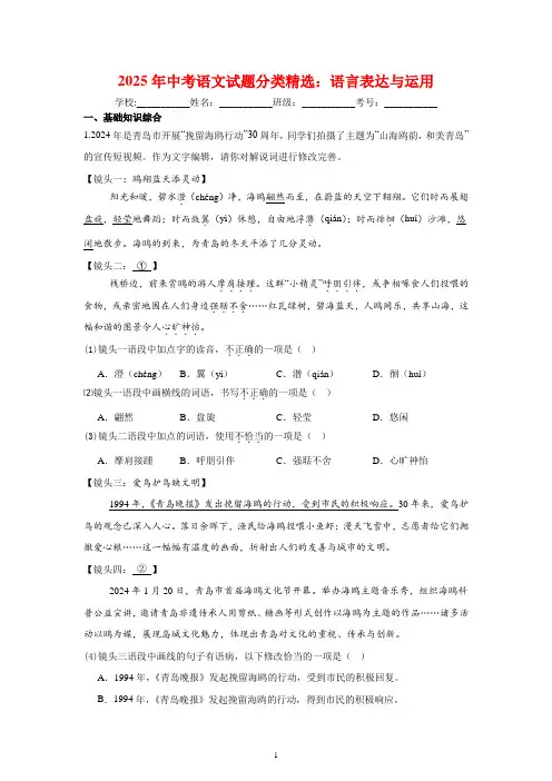 2025年中考语文试题分类精选：语言表达与运用
