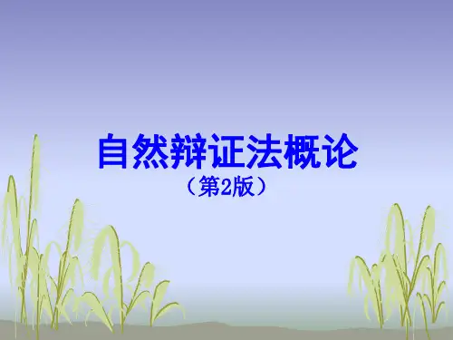 《自然辩证法概论(第2版)》第十二章 科学技术的社会运行