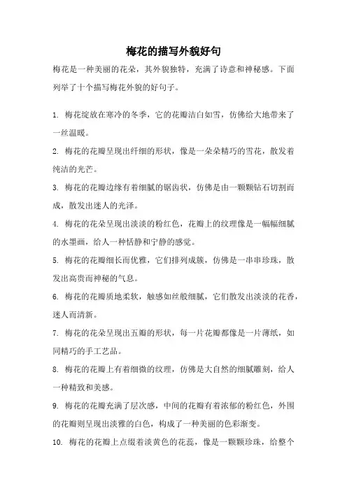 梅花的描写外貌好句