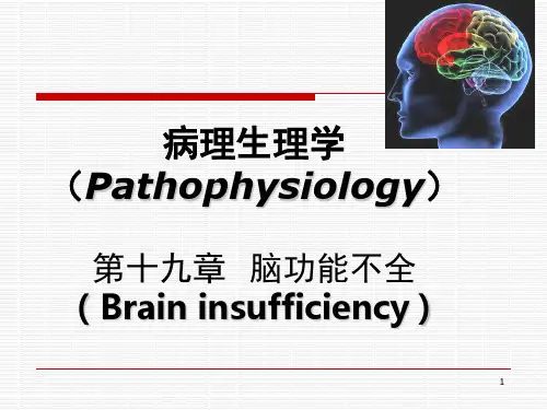 病理生理学脑功能不全