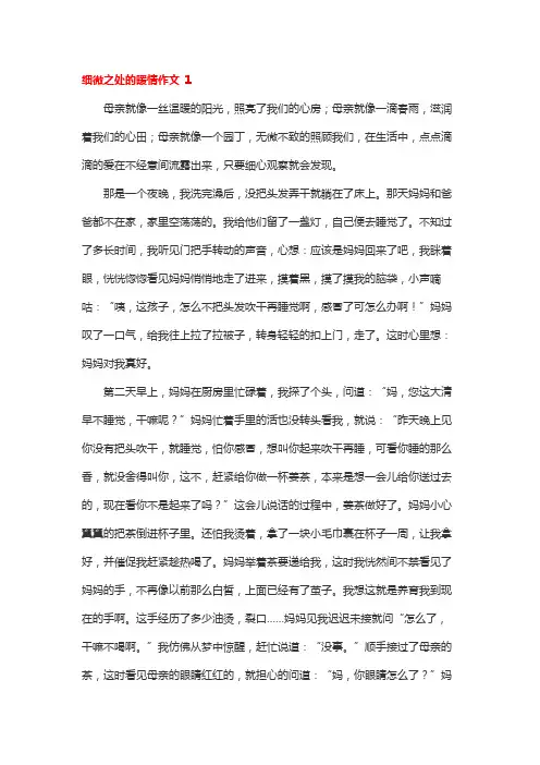 细微之处的暖情作文