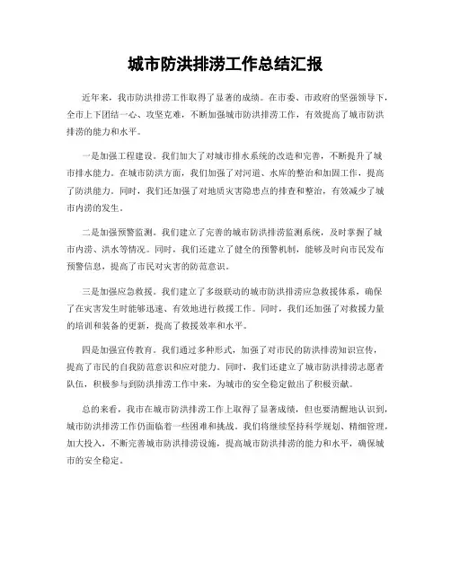 城市防洪排涝工作总结汇报