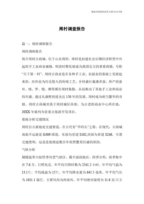 周村调查报告