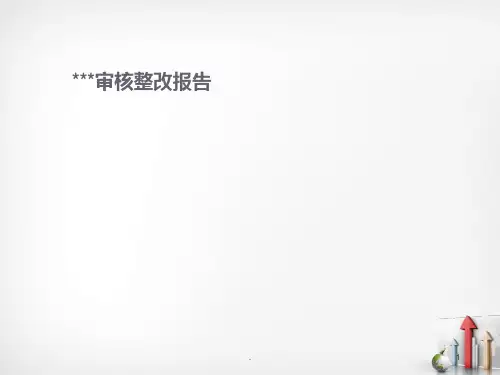 审核整改报告(模版)PPT课件