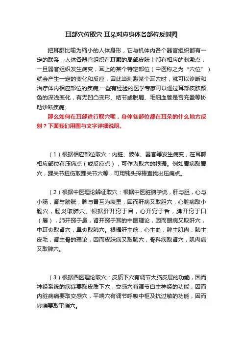 耳部穴位取穴?耳朵对应身体各部位反射图