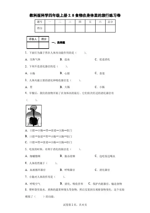 教科版科学四年级上册2.8食物在身体里的旅行练习卷(后附答案)
