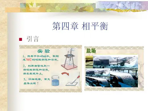 大学物理化学 相平衡