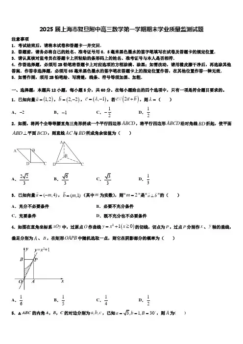 2025届上海市复旦附中高三数学第一学期期末学业质量监测试题含解析