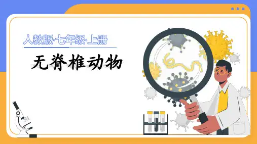 2.2.1 无脊椎动物课件-人教版2024生物七年级上册