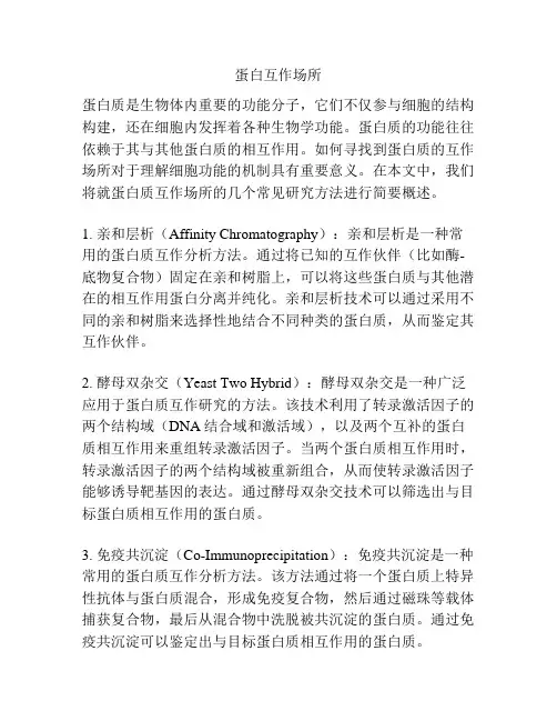 蛋白互作场所