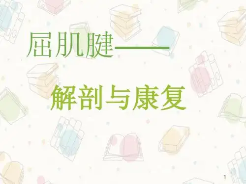 (精选课件)屈肌腱解剖与康复