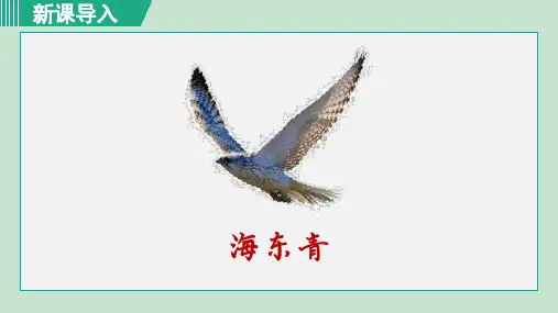 人教版七年级历史下册_第8课 金与南宋的对峙